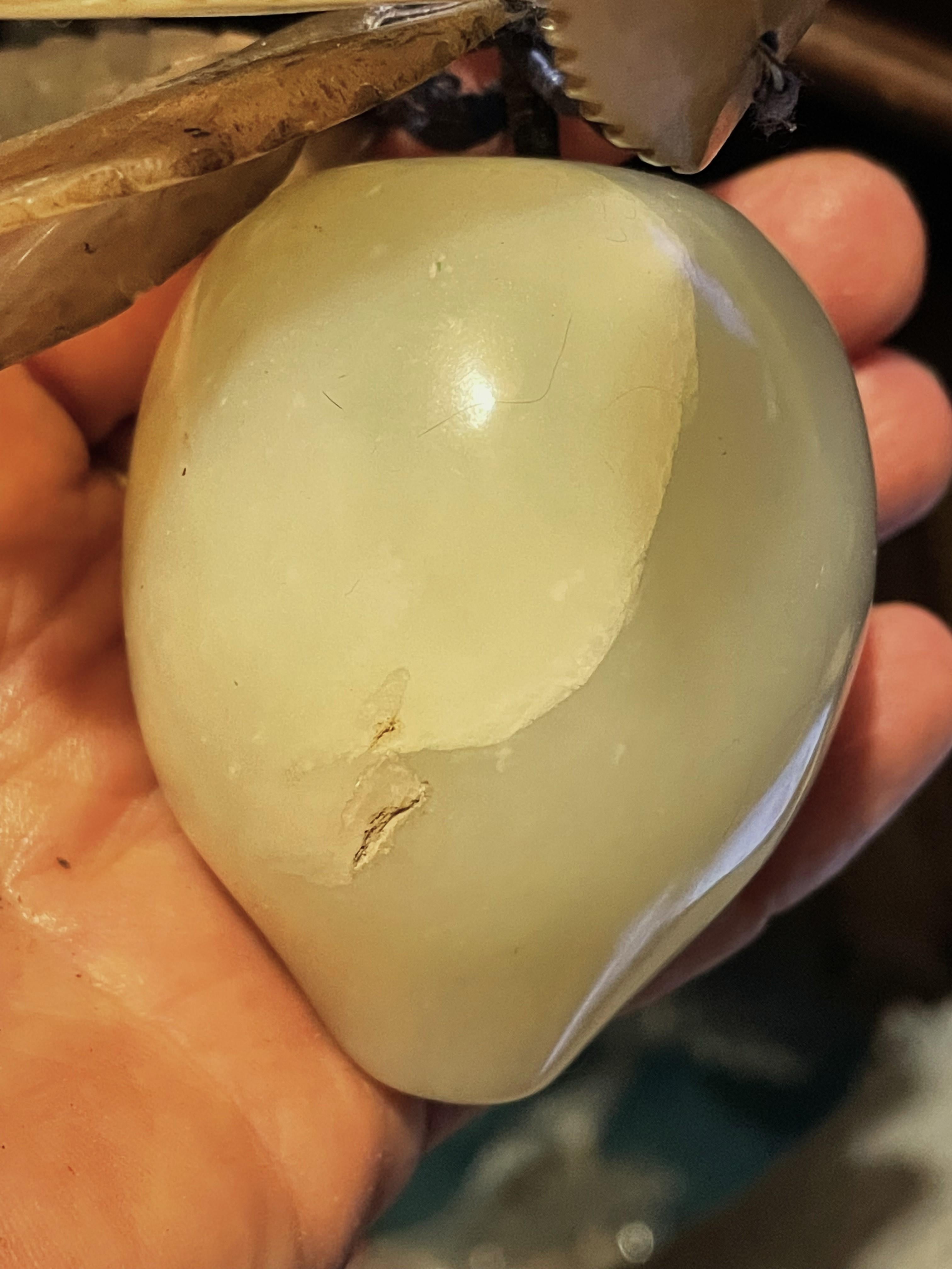 Jade Asiático Tallado Ciruela/Melocotón Fruta de Piedra Dura Hojas Talladas en venta 3