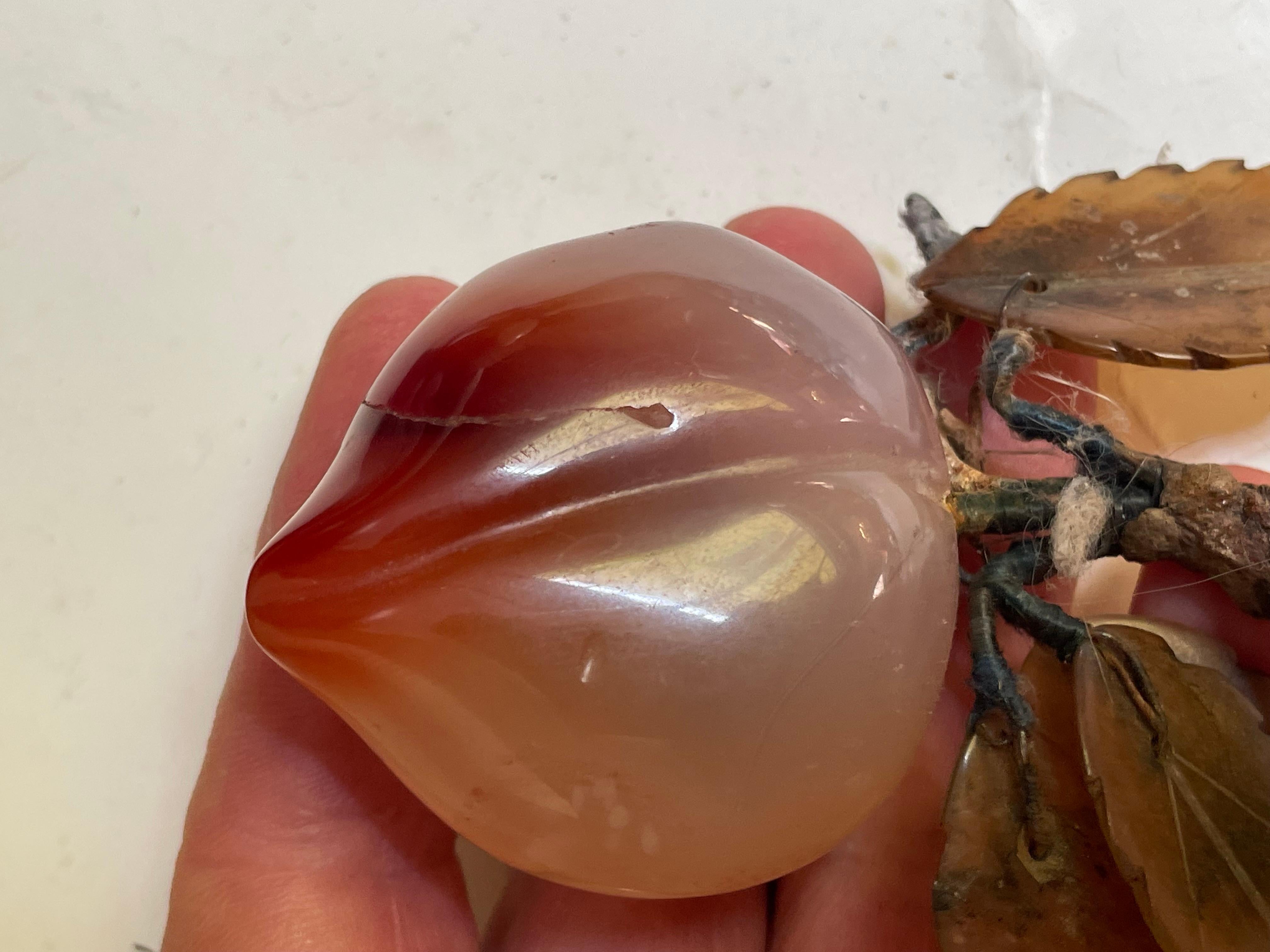 Ciruela asiática tallada Fruta de hueso duro Hojas talladas en venta 2