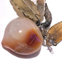 Ciruela asiática tallada Fruta de hueso duro Hojas talladas