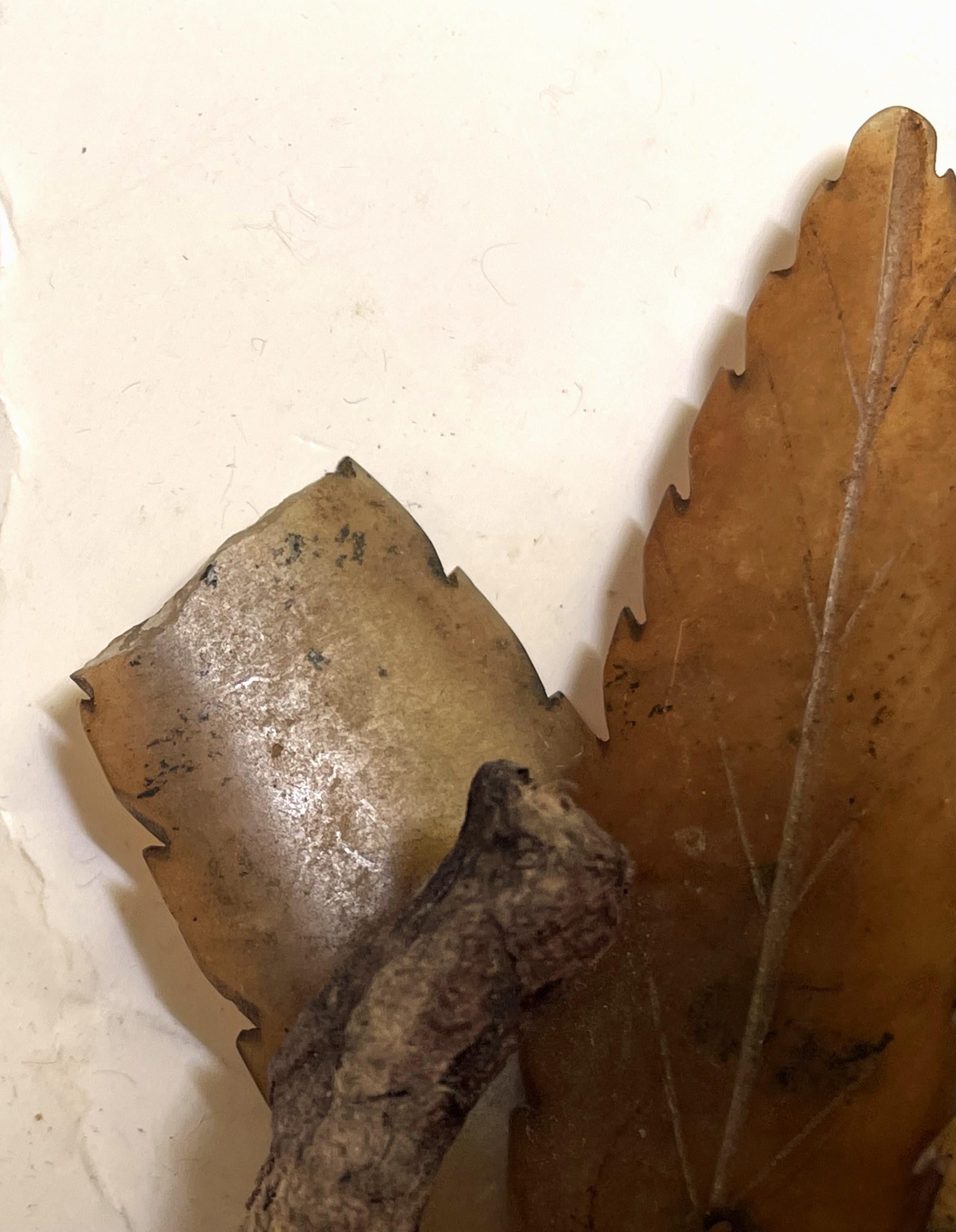 Ciruela asiática tallada Fruta de hueso duro Hojas talladas Moderno de mediados de siglo en venta