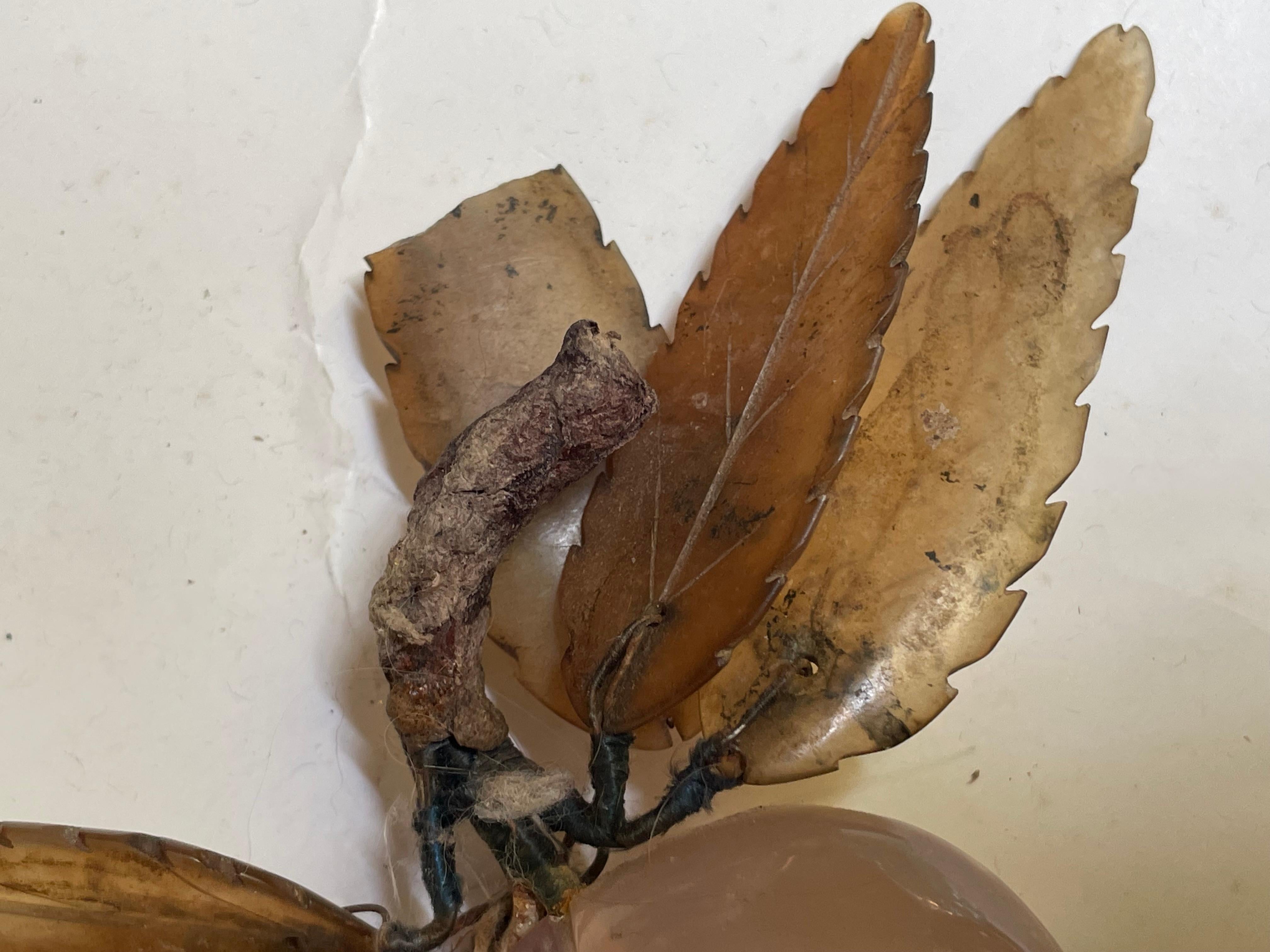 Ciruela asiática tallada Fruta de hueso duro Hojas talladas Chino en venta