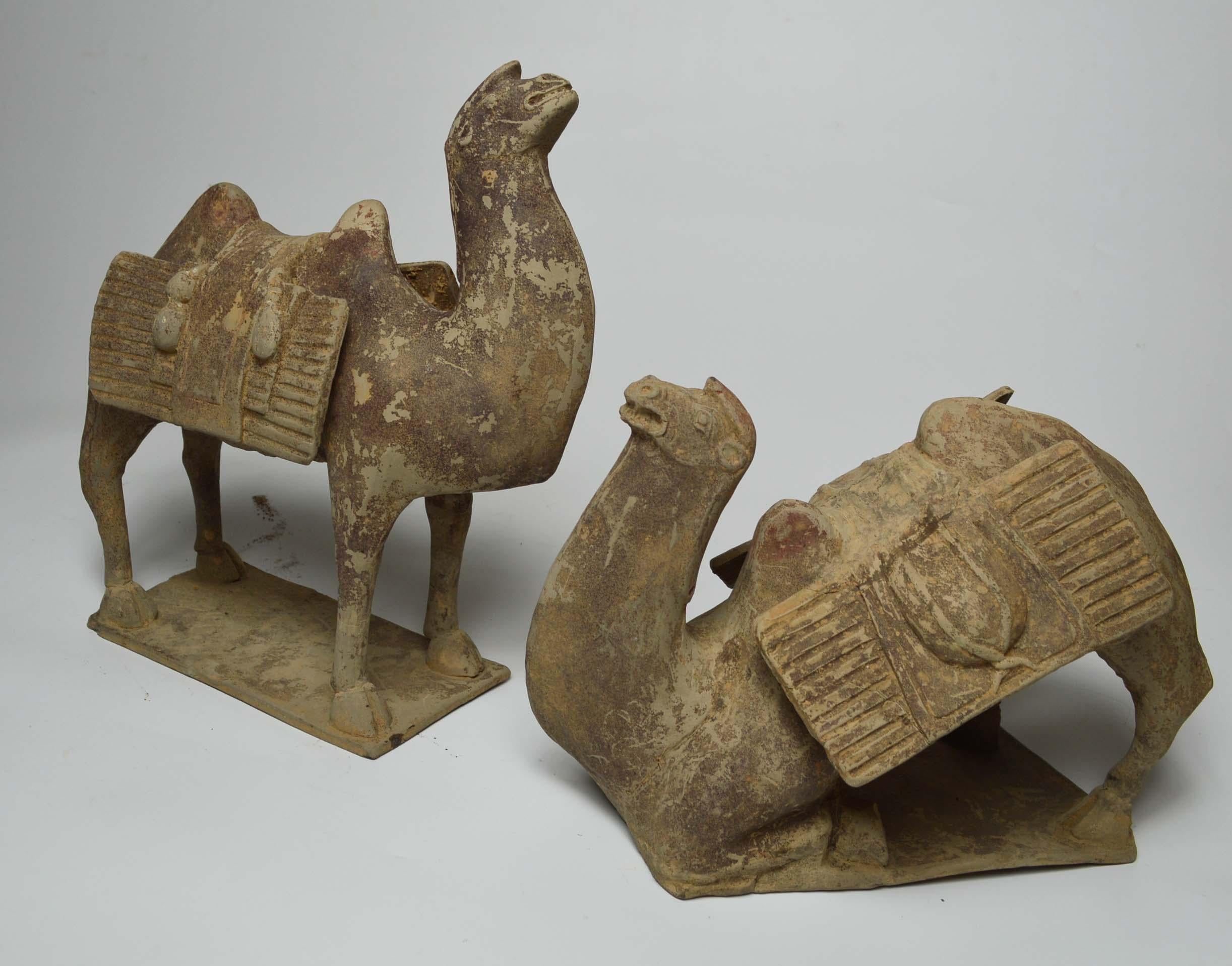 A rare pair of antique Chinese pottery figures of a Bactrian camels
A superbly modeled pair of pottery camels highly detailed replete with saddles and accouterments, including hunted animals and birds and water bottles
On a rectangular bases the