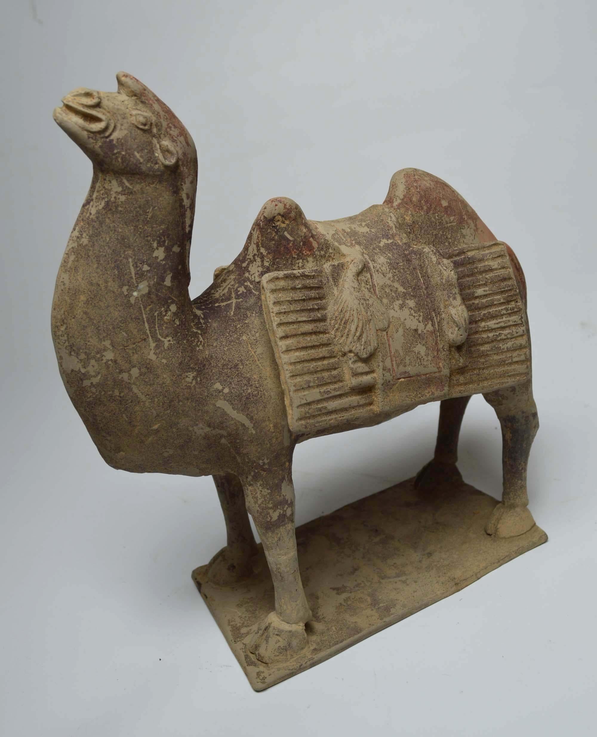 Asian Chinese Art Antique Bactrian Camels circa 15th Century Ex Christie's HK In Good Condition In London, GB