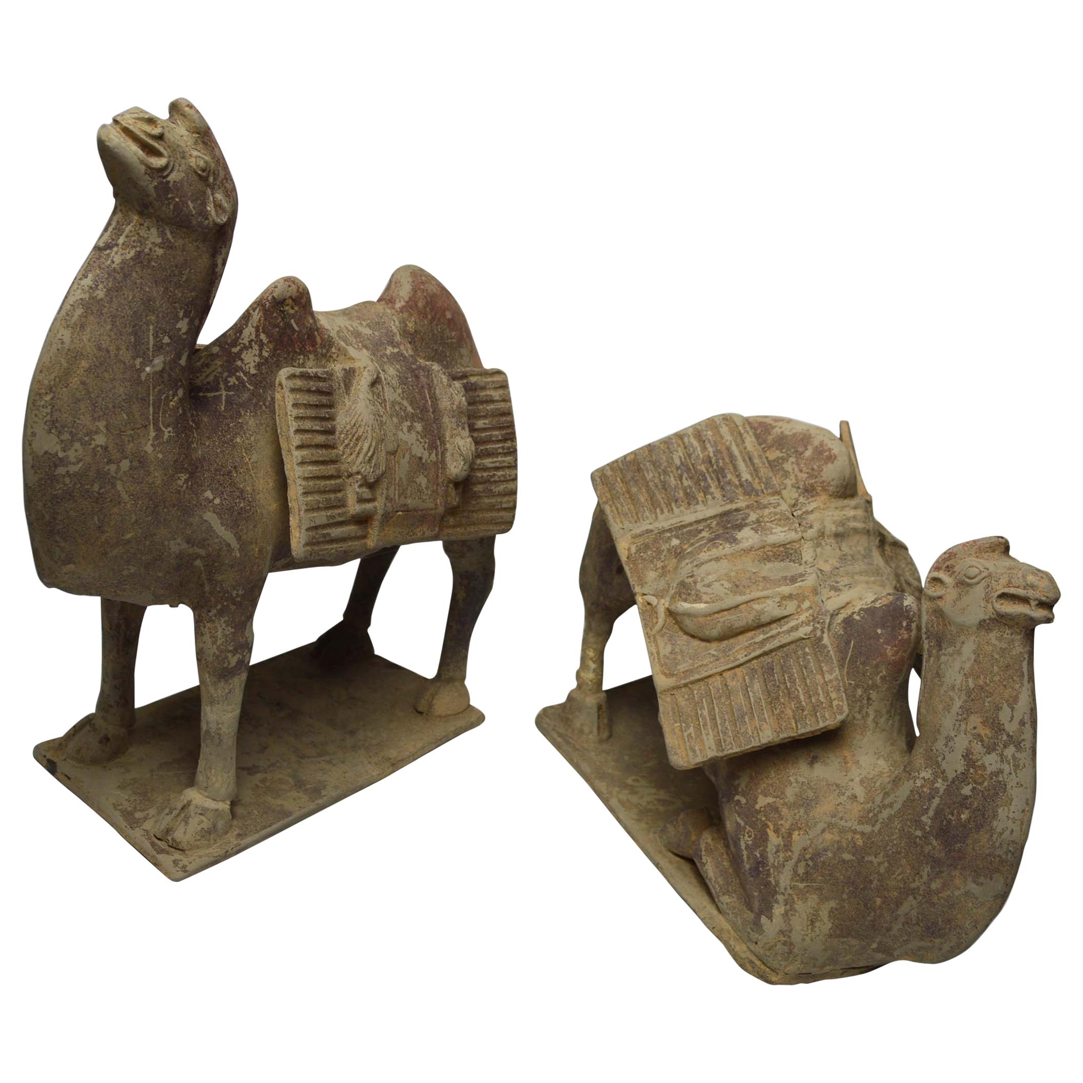 Asian Chinese Art Antique Bactrian Camels circa 15th Century Ex Christie's HK