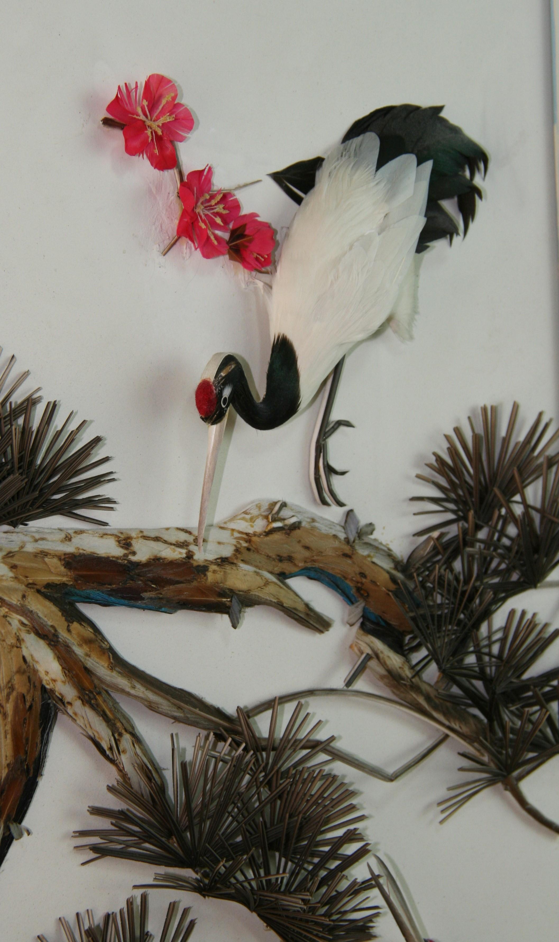 3-941 Diorama réalisé à la main à l'aide de plumes d'oiseaux et de faune naturelle dans un cadre en bois laqué sous verre.