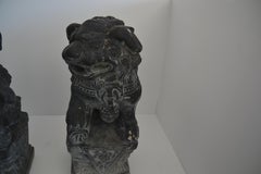 Asian Foo-Dogs Set of 2