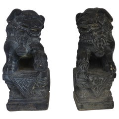 Asian Foo-Dogs Set of 2