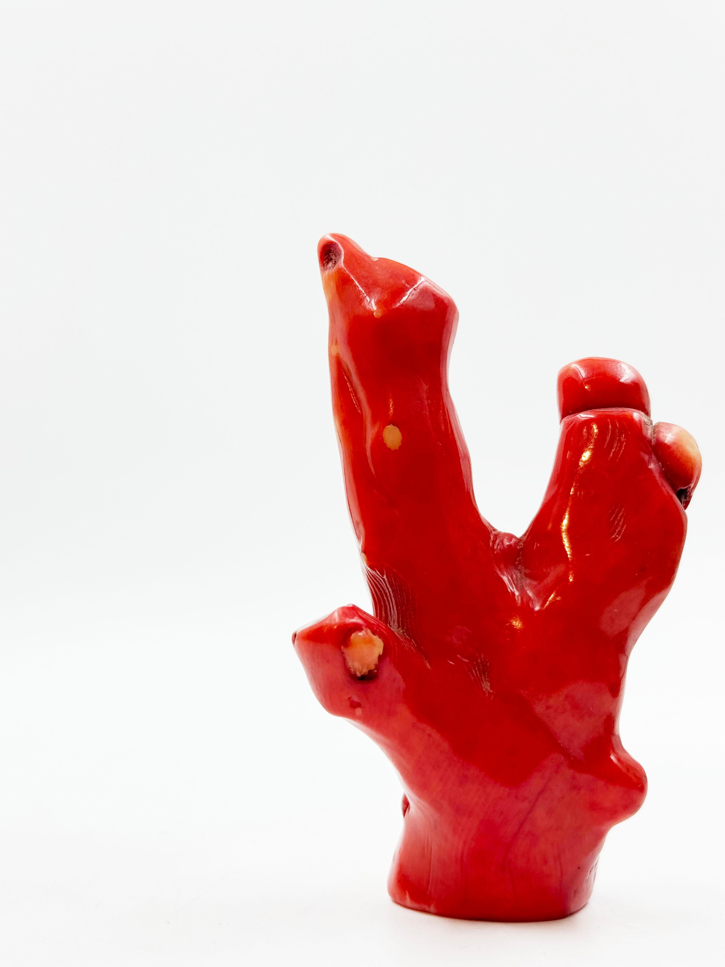 Asian Hand Carved Buddha Coral Figurine from the Qinq Dynasty For Sale 4