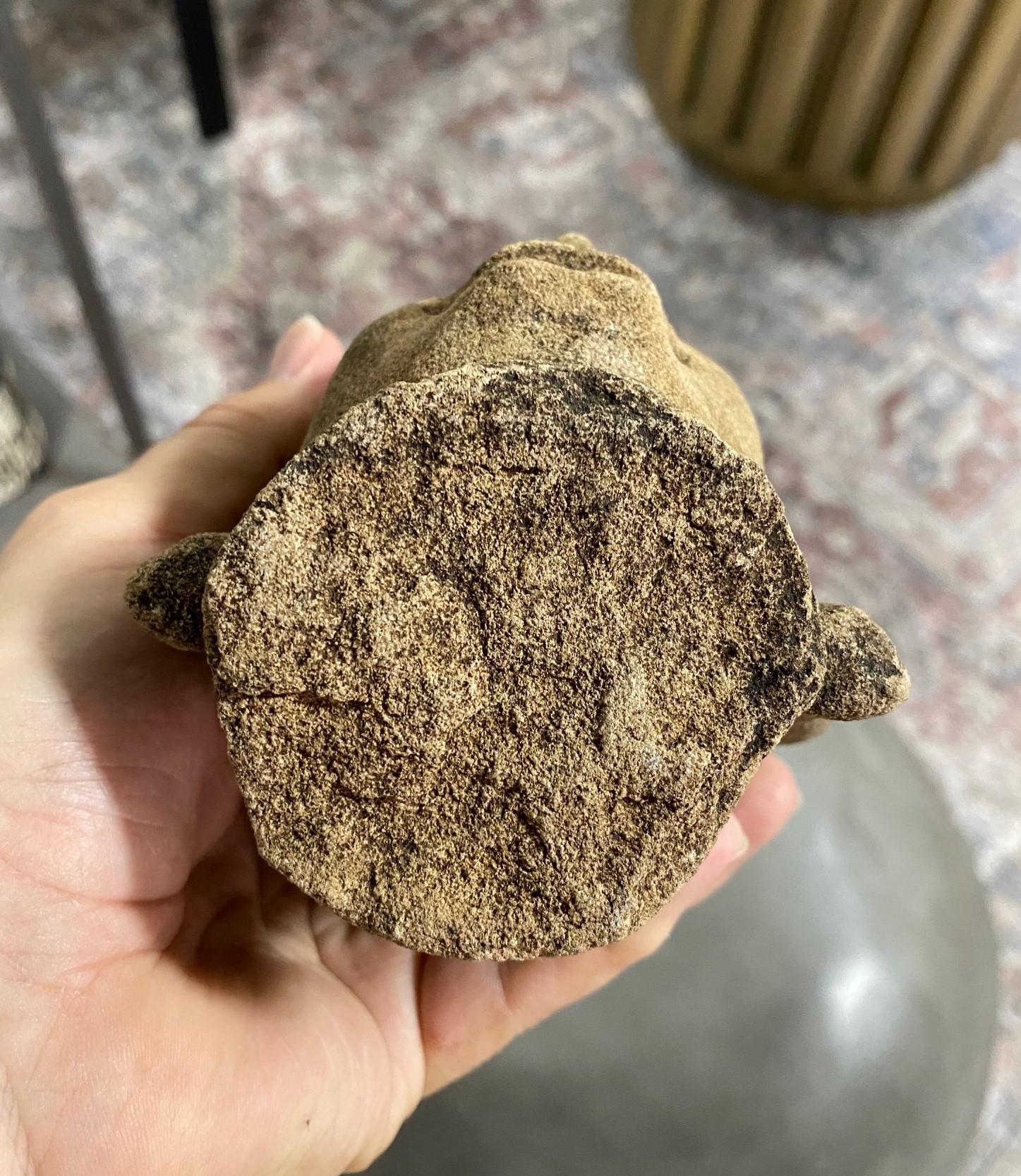 Jemer asiático Camboya Busto tallado en piedra con cabeza de Deidad Buda Shiva budista masculina en venta 4