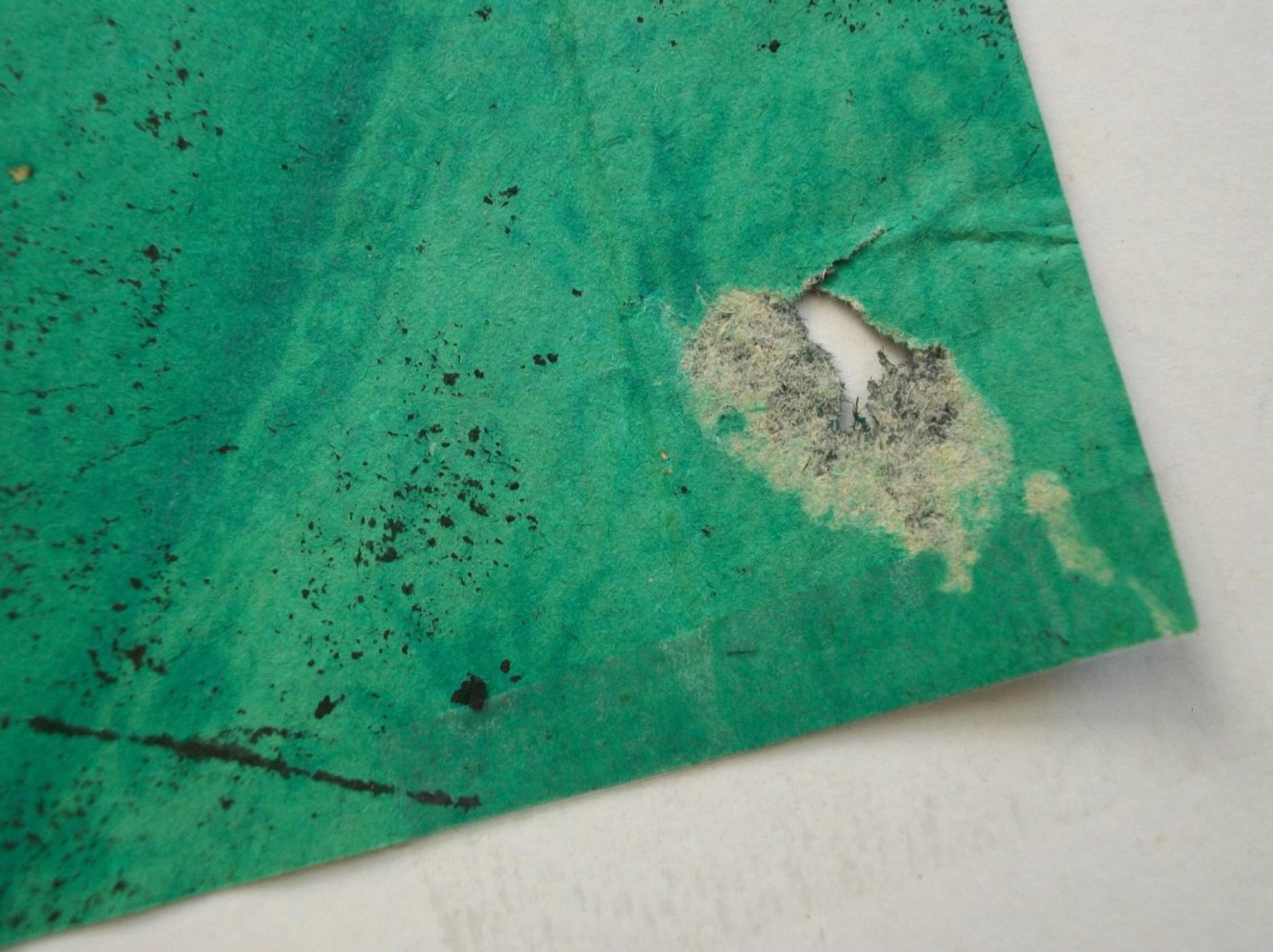 Peinture asiatique en techniques mixtes et pastel à l'eau - Non encadrée - Vietnam - Circa 1998 en vente 4