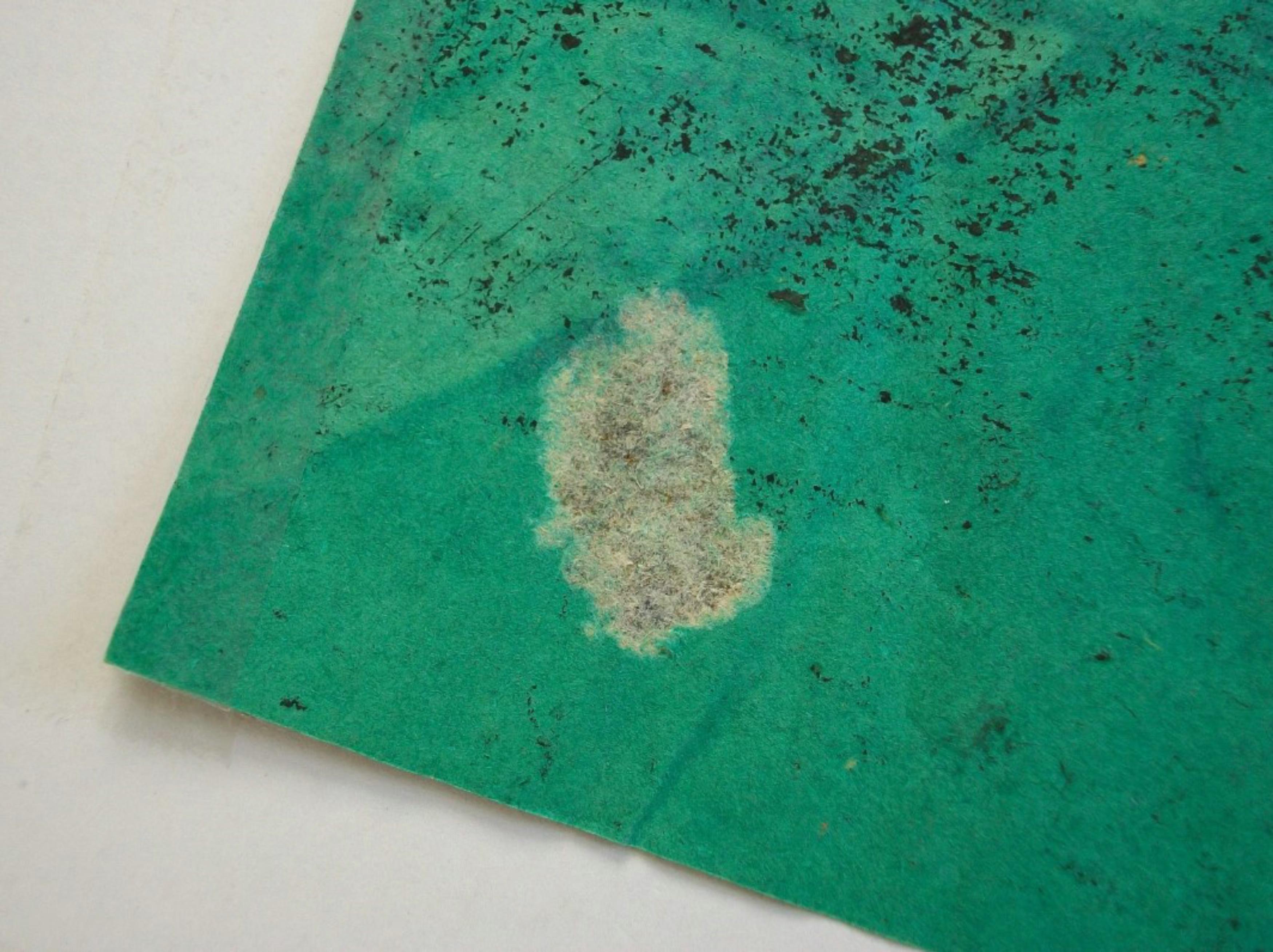 Peinture asiatique en techniques mixtes et pastel à l'eau - Non encadrée - Vietnam - Circa 1998 en vente 5