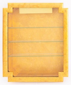 Asian Modern Illuminated Giltwood Wall Vitrine