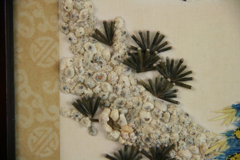 Asian Hand Made Peacock with Shells and Seeds    Wall Decoration 1940 For Sale 8