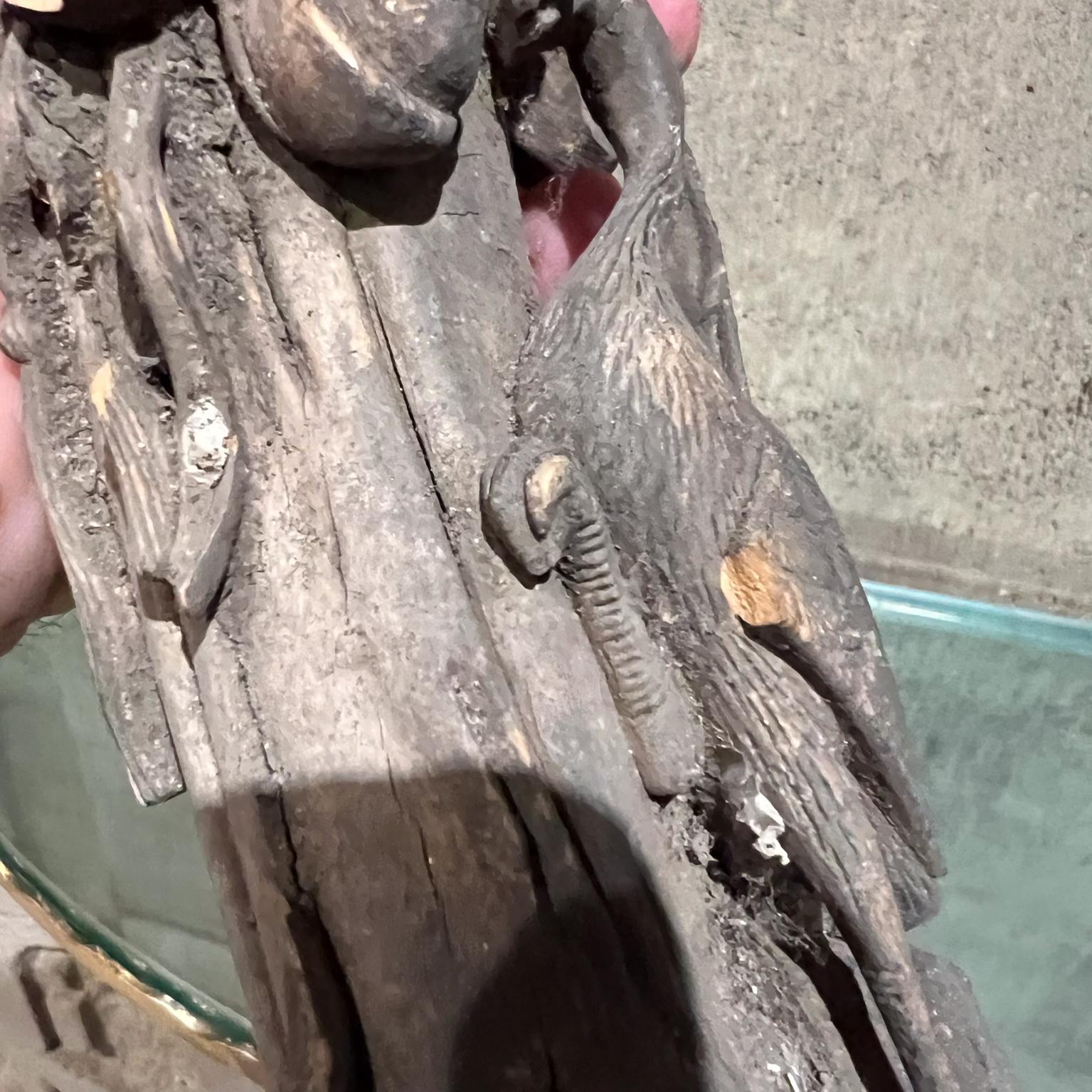 Scultura asiatica in legno intagliato a mano Stella della Longevità Shòu Xīng in vendita 10