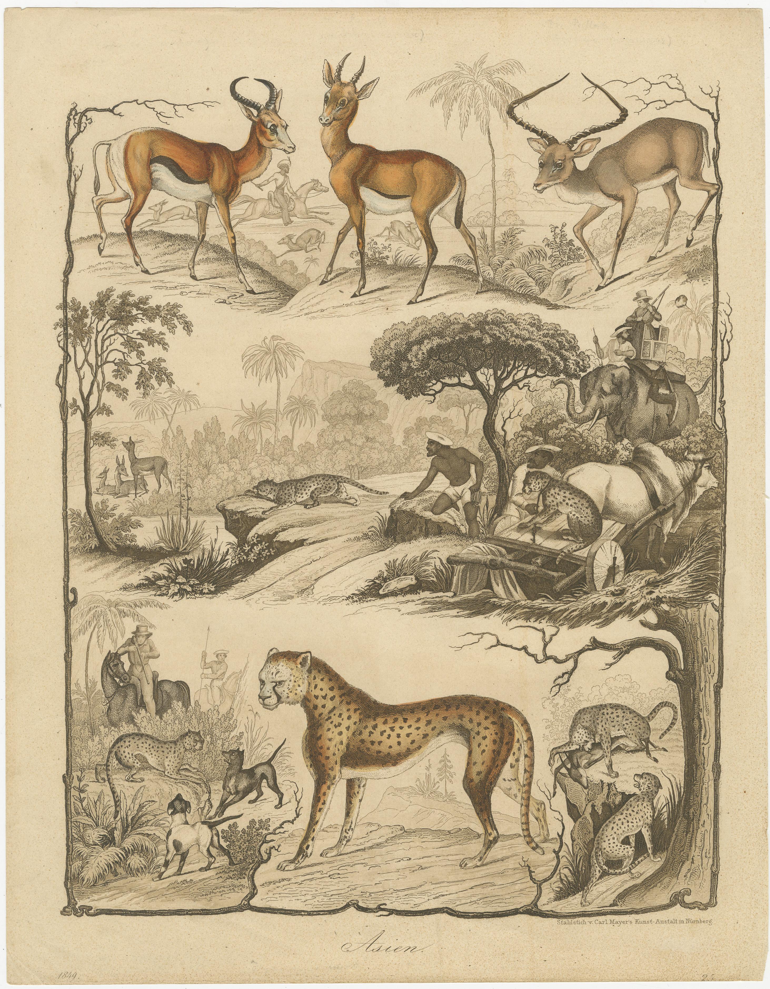 Asian Wildlife and Hunting Scene – Antique German Engraving, c.1840

Description:
This captivating antique engraving titled “Asien” depicts Asian wildlife alongside traditional hunting scenes in a decorative tripartite composition. At the top are