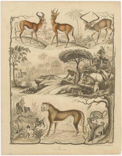 Asian Wildlife and Hunting Scene – Antique German Engraving, c.1840