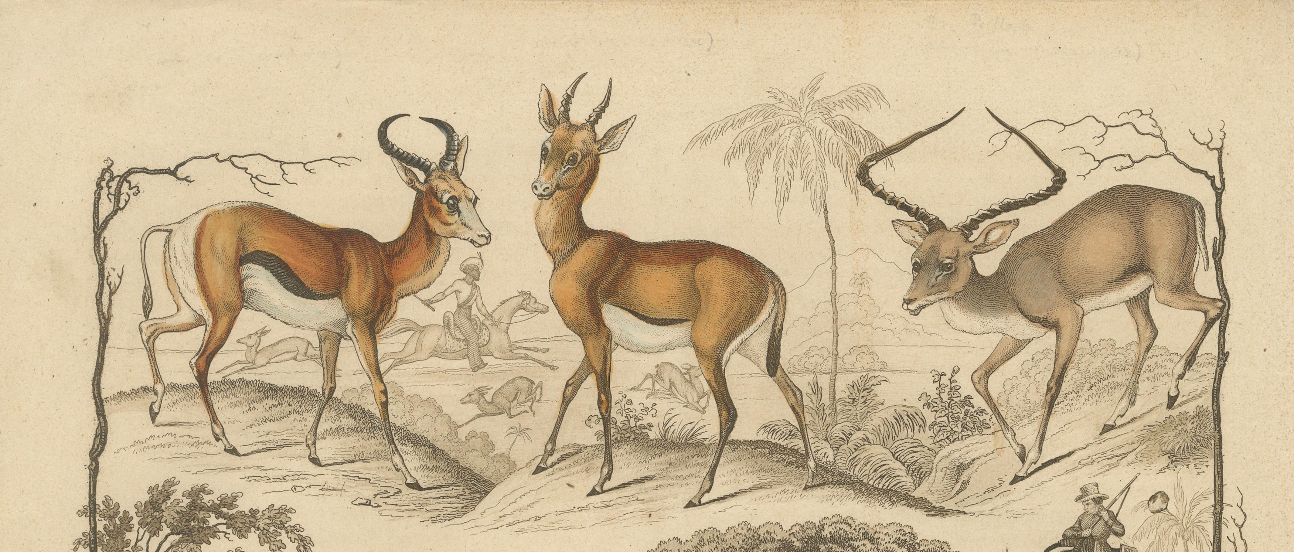 Asian Wildlife and Hunting Scene – Antique German Engraving, c.1840 In Good Condition For Sale In Langweer, NL