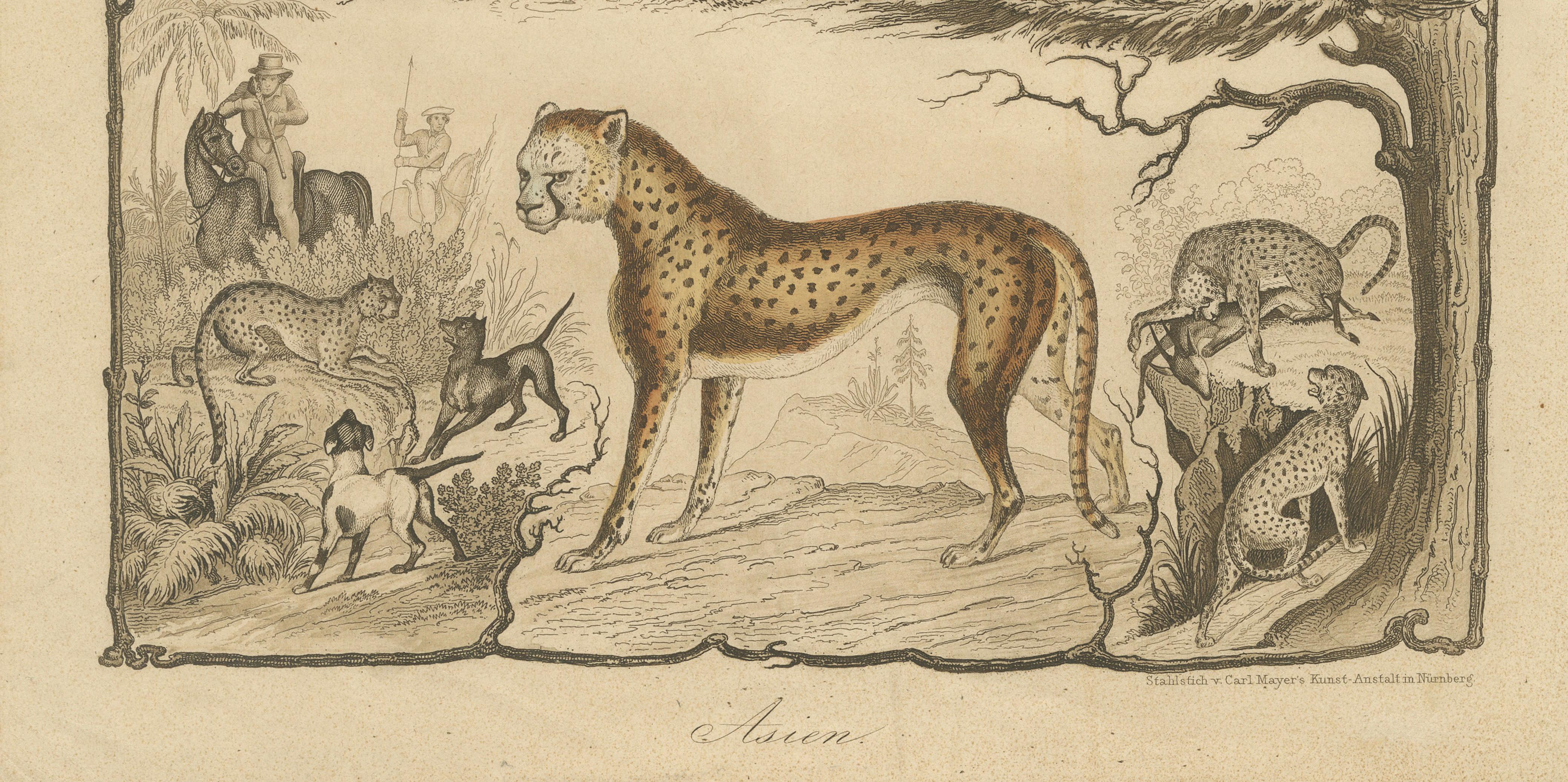 19th Century Asian Wildlife and Hunting Scene – Antique German Engraving, c.1840 For Sale