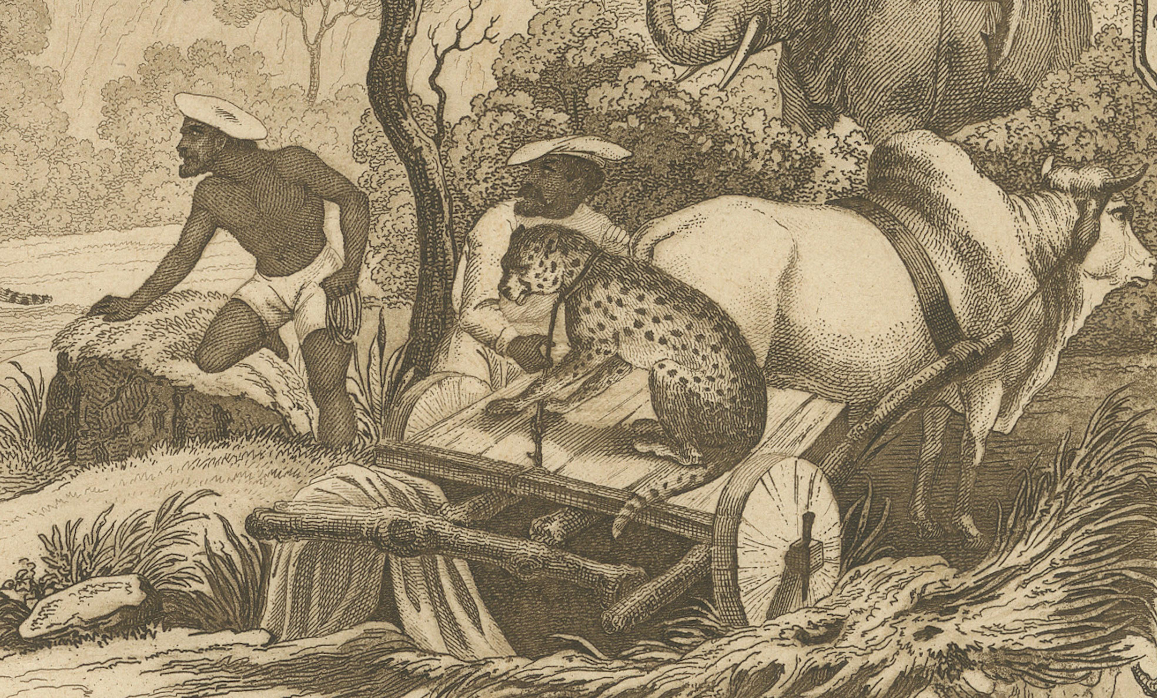 Asian Wildlife and Hunting Scene – Antique German Engraving, c.1840 For Sale 1