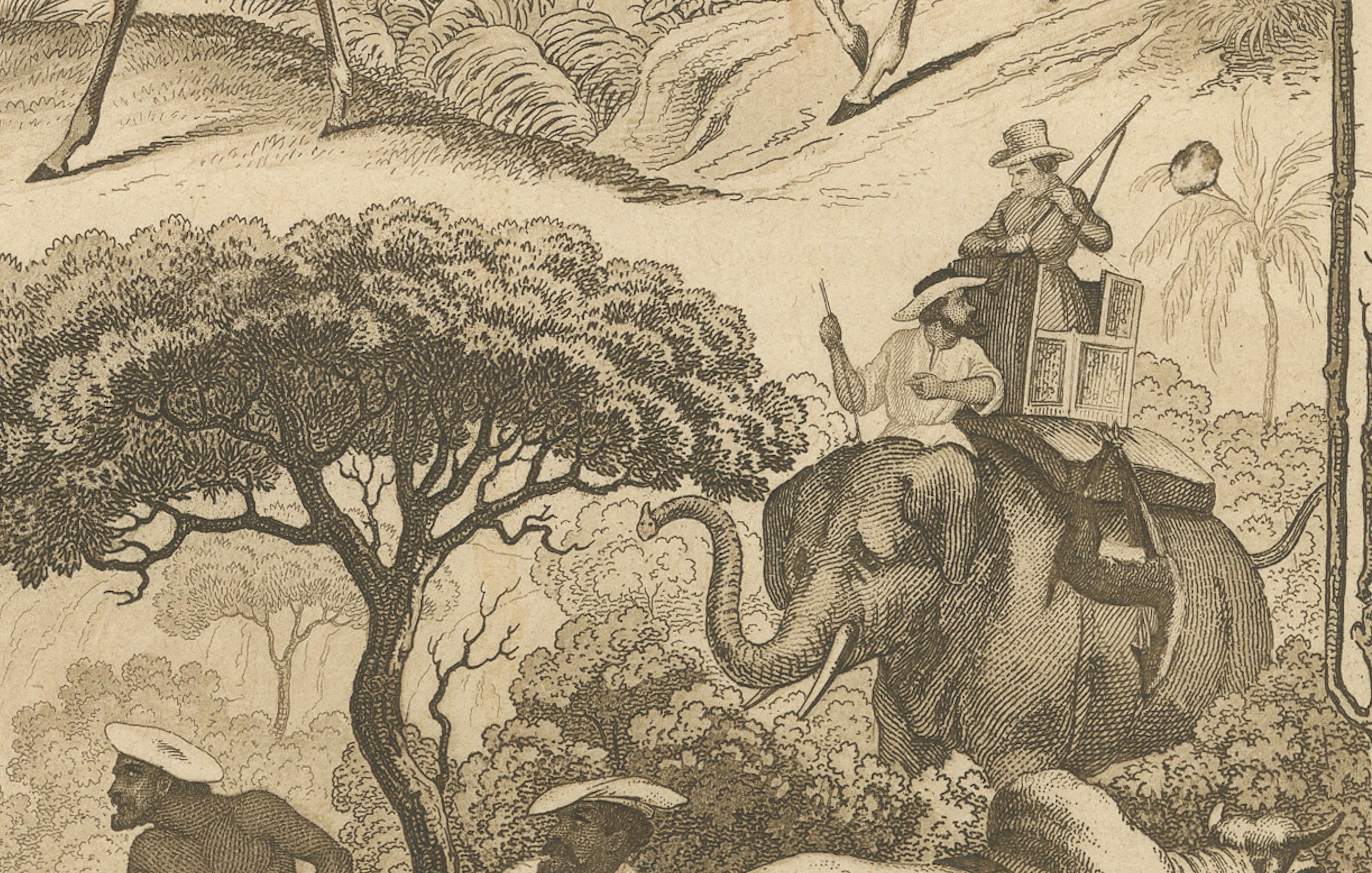 Asian Wildlife and Hunting Scene – Antique German Engraving, c.1840 For Sale 2