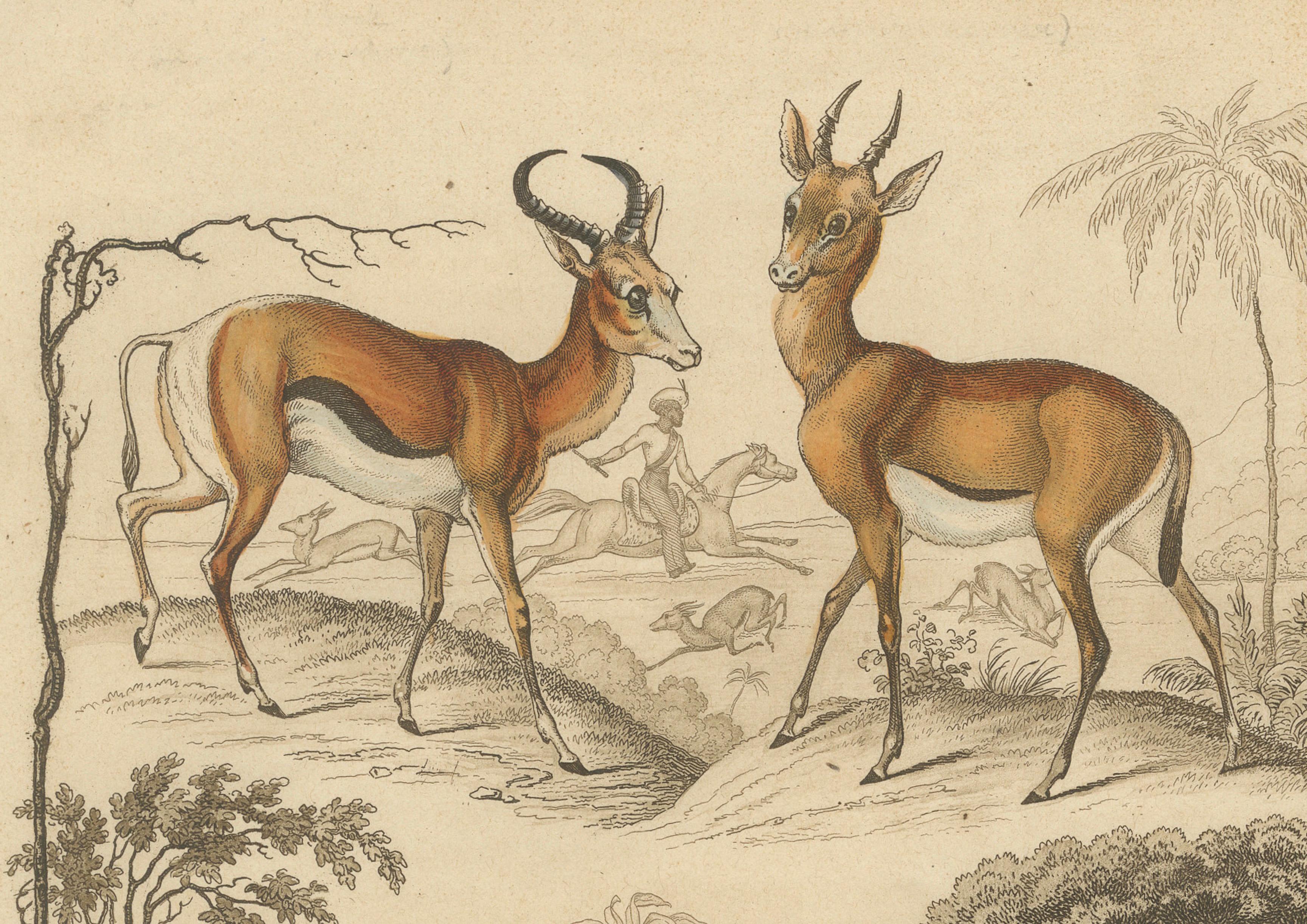 Asian Wildlife and Hunting Scene – Antique German Engraving, c.1840 For Sale 3