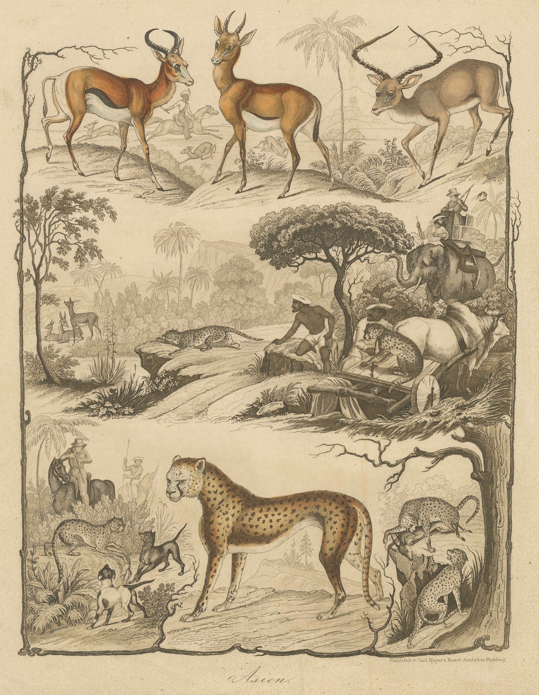 Asian Wildlife and Hunting Scene – Antique German Engraving, c.1840