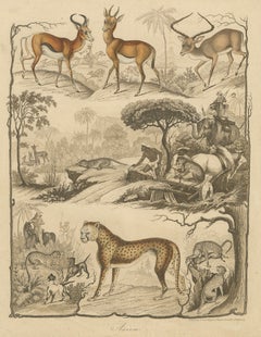 Asian Wildlife and Hunting Scene – Antique German Engraving, c.1840