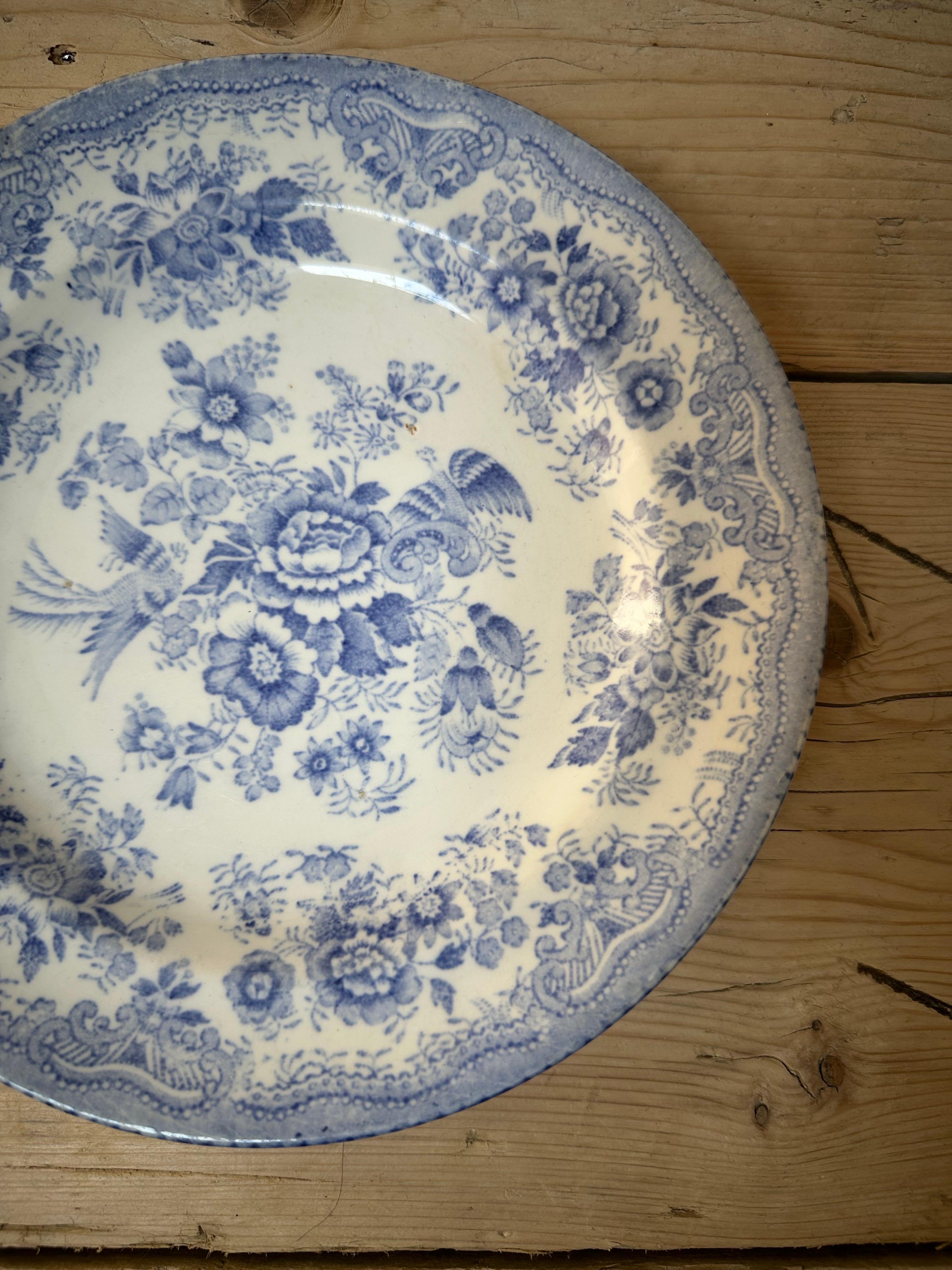The image shows a plate from the Burleigh Blue Asiatic Pheasants collection. This Plate dates back to the mid 1800s

Design: This collection features intricate soft blue flowers and elegant birds, a timeless classic launched in 1862. 
Manufacturing: