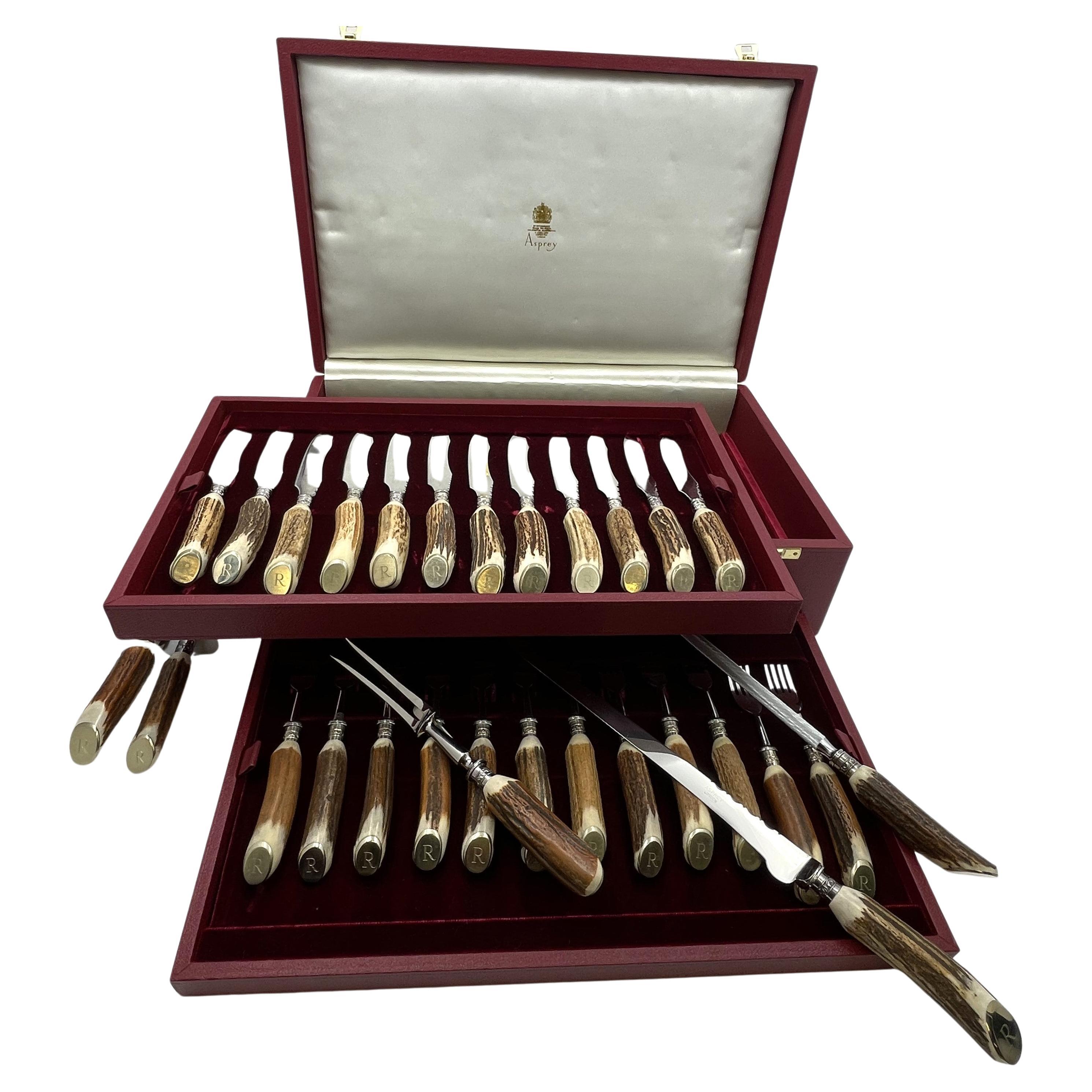 Asprey Set di bistecche e coltelli con manico di corno a 3 livelli e in scatola da 29 pezzi in vendita