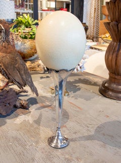 Assambled Sculpture of Antique Ostrich Egg with Silver Base