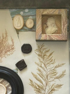 Assemblage of 19th Century Objects in an English Country House Shadowbox