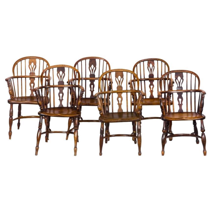 Assembled Set of 6 Yew Wood Lowback Windsor Armchairs with Crinoline Stretchers