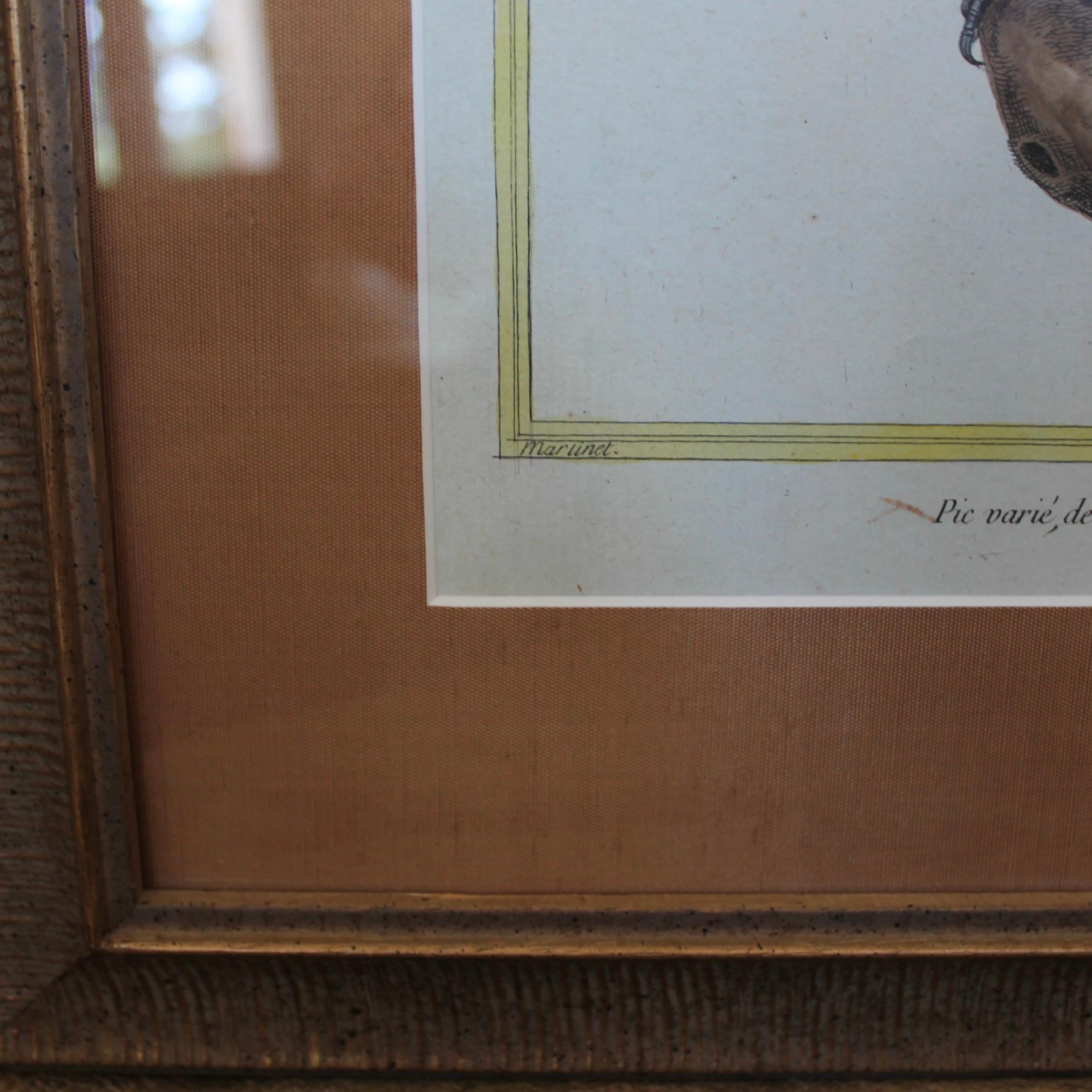 Conjunto de cuatro grabados al cobre de pájaros de François Martinet en venta 3