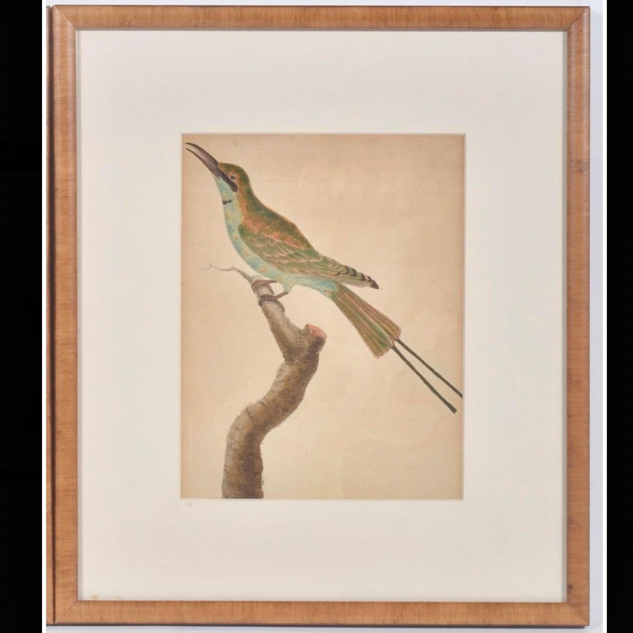 Ensemble de quatre gravures sur cuivre d'oiseaux de François Martinet Bon état - En vente à Free Union, VA