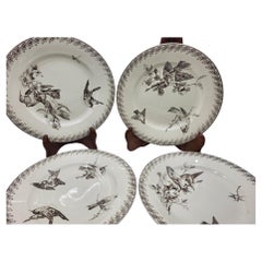 Assiettes plates  Sarreguemines modèle "Buffon" marron Art Nouveau Francais 1900