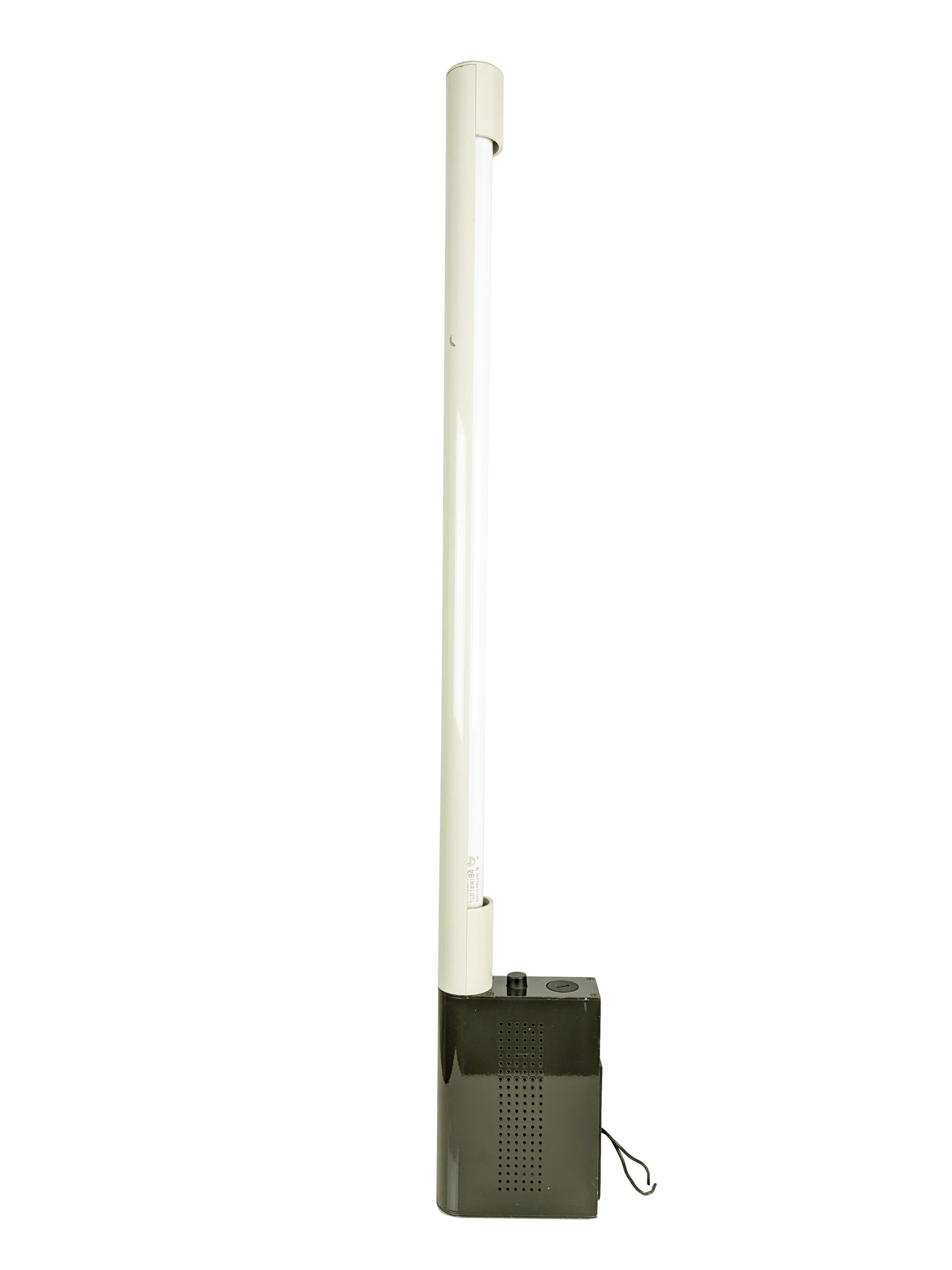 Painted Aster Neon Wall Lamps by Rodolfo Bonettto for Lumi, 1980s, Set of 2 For Sale