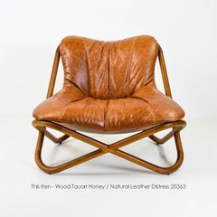 Astral Brazilian Contemporary Wood and Leather Easychair by Lattoog