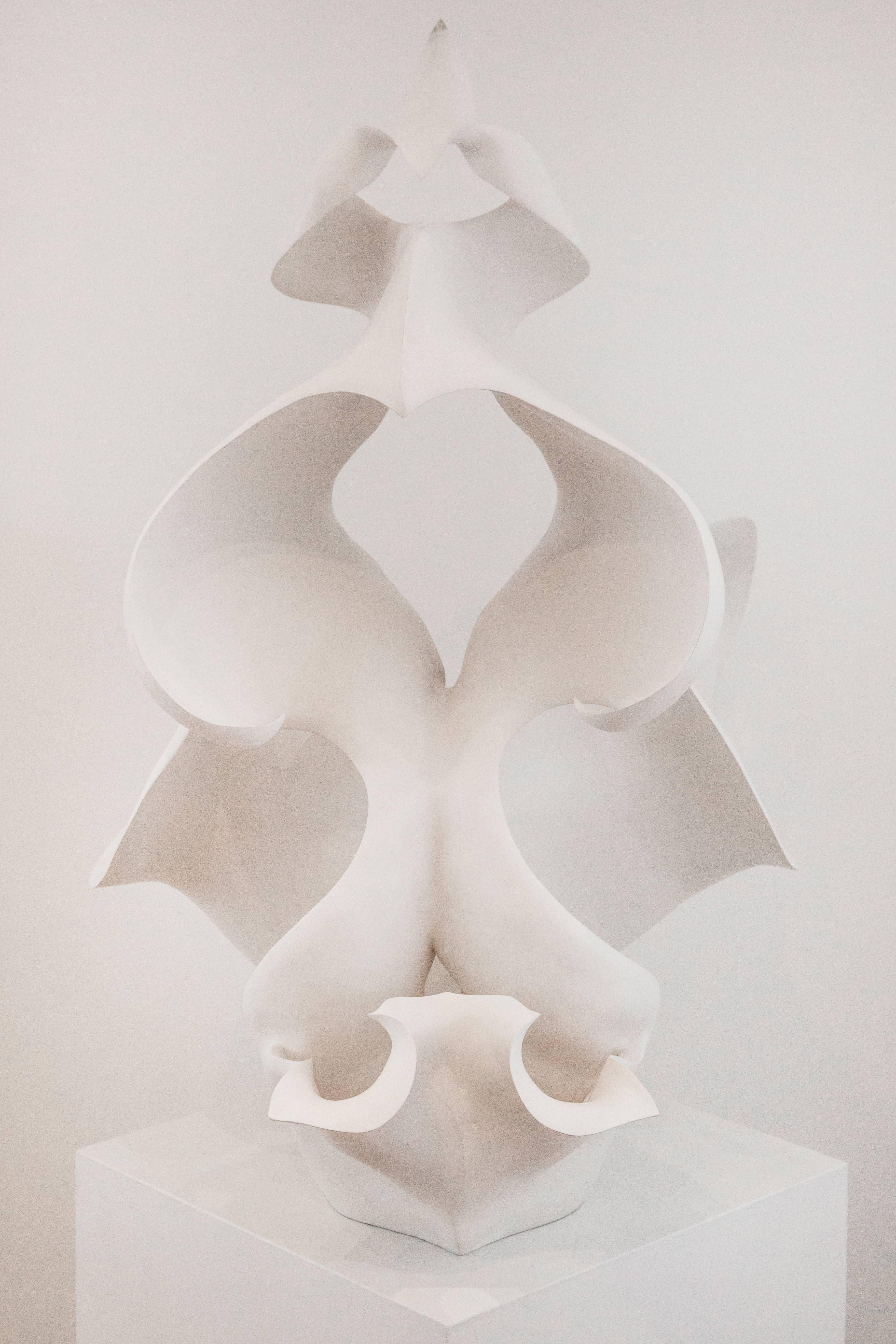 The photographic work of late XIXth century German botanist Karl Blossfeldt has fascinated ceramicist Astrid Dahl since she studied at The Durban Techinikon of Natal in South Africa in the mid-Nineties. Using a homemade camera, Blossfeldt was able