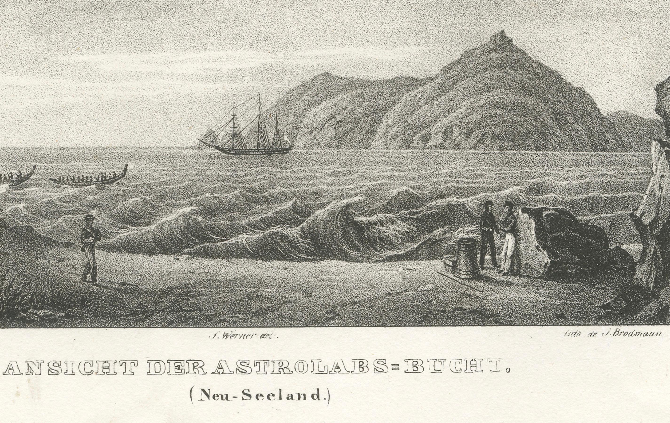 Astrolabium navigiert durch den französischen Pass und die Bucht in Neuseeland - Lithographie ca.1836 im Zustand „Gut“ im Angebot in Langweer, NL