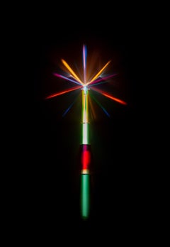"Garden of Hues #4" Mixed Media Lichtinstallation 48 x 24 in von astrothebaptist