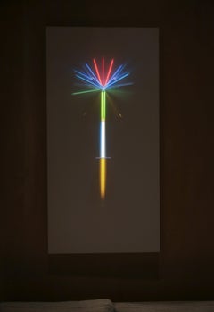 "Garden of Hues #6" Mixed Media Light Installation 48 x 24 in by astrothebaptist