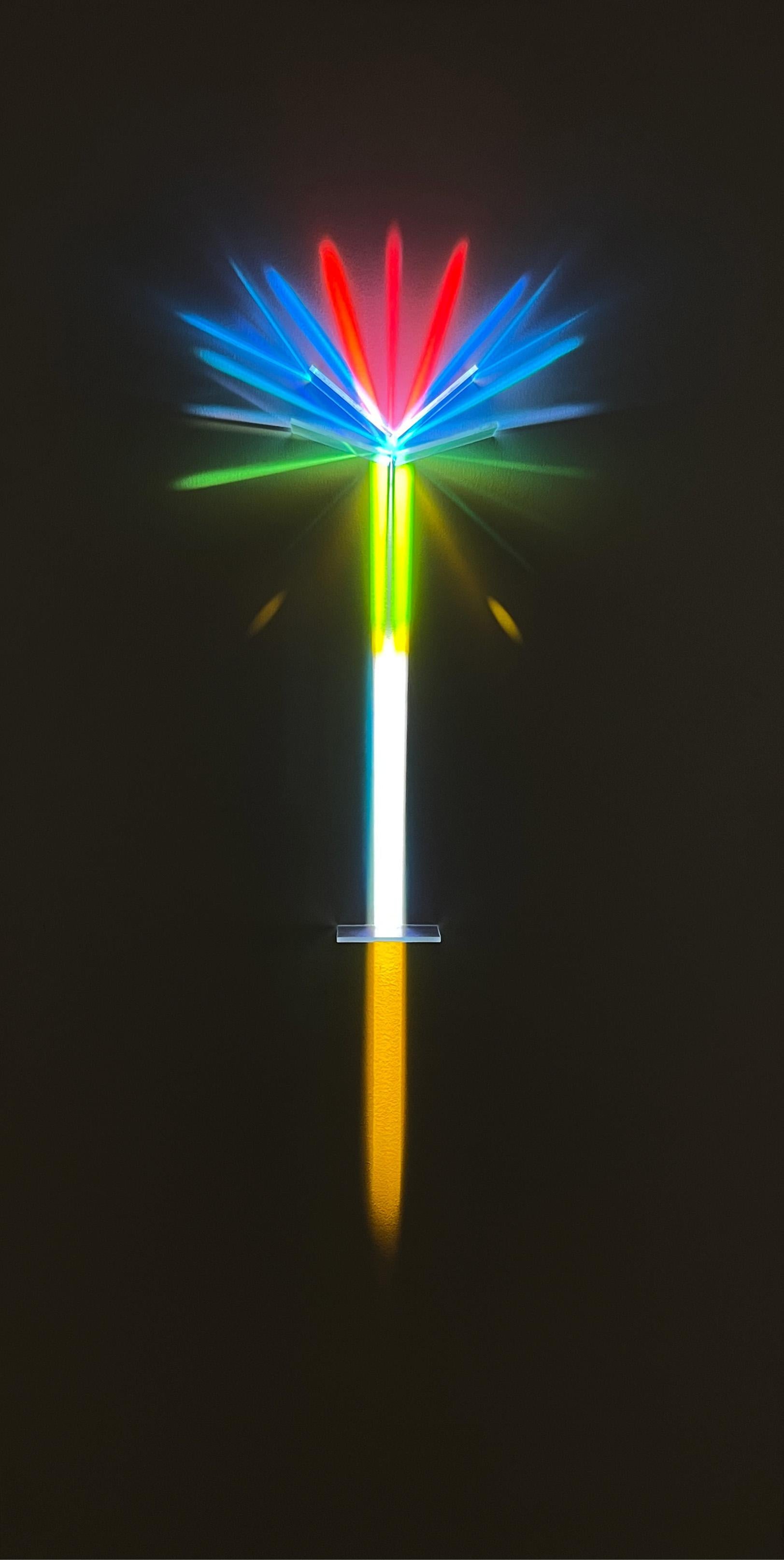 "Jardin des Lights #6" Installation lumineuse mixte 48 x 24 in par astrothebaptist

Filtres optiques dichroïques sur panneau de bouleau en bois peint et installation d'une seule source de lumière

Composants : 
Panneau blanc
Verre