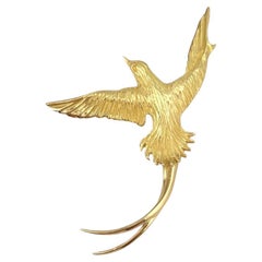 Astwood Dickinson 18 Karat Yellow Gold Bermuda Long Tail Bird Pin Pendant #21663