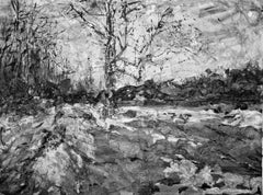 Caumsett V, paysage monochrome, noir et blanc et gris