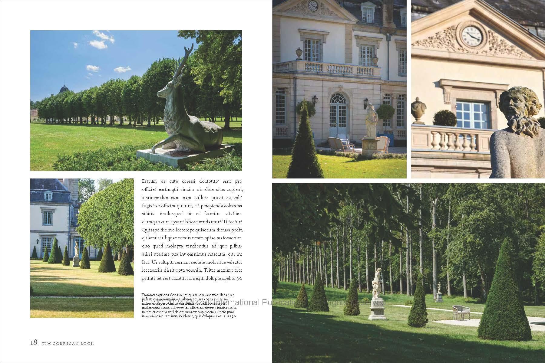 En casa en Francia: Inspiración y estilo en la ciudad y el campo en venta 1