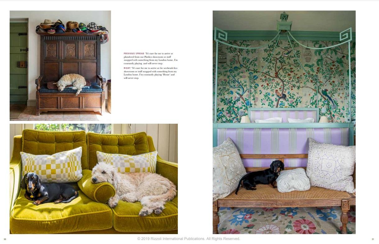 American At Home in the English Countryside Designers and Their Dogs