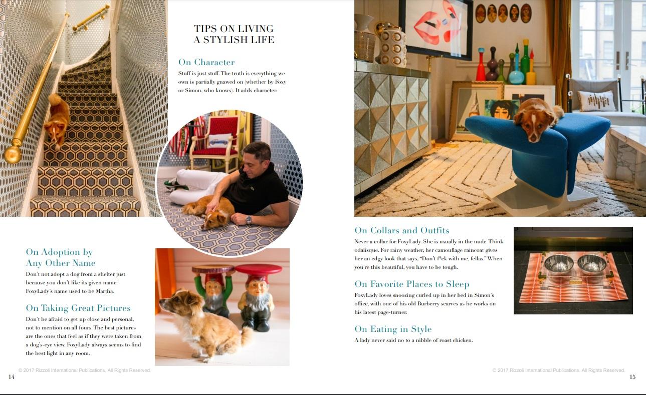 Written by Susanna Salk, Foreword by Robert Couturier, Photographed by Stacey Bewkes
America's leading interior designers show readers how to live in the most stylish way with their adorable dogs, offering an array of inspirational tips for keeping