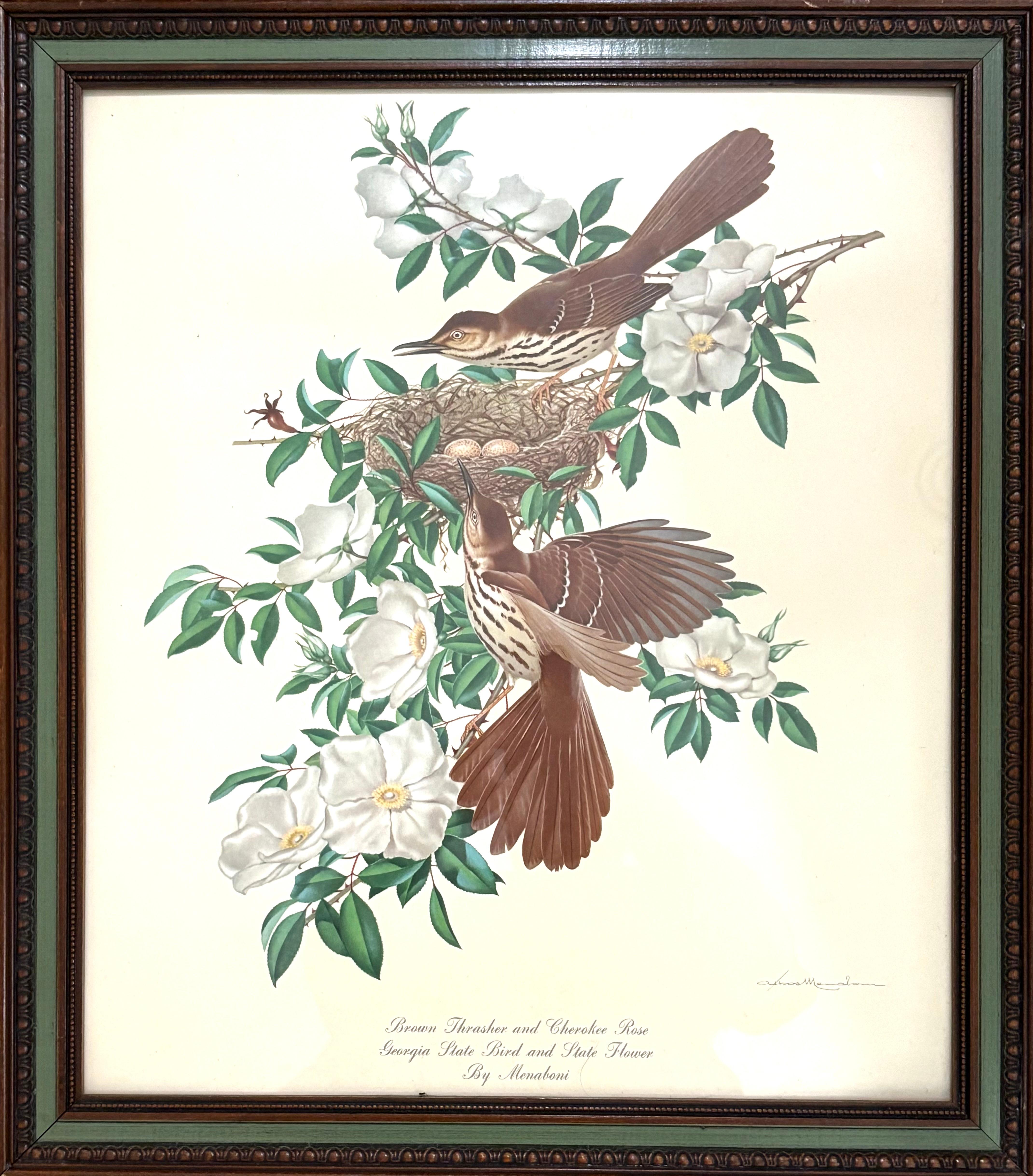 Bird Prints and Multiples