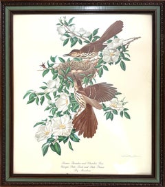 “BROWN THRASHER AND CHEROKEE ROSE”