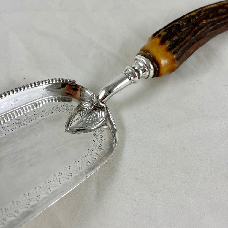 English Atkin Brothers Sheffield England Stag Horn Handle & Silver Plate Table Crumber For Sale